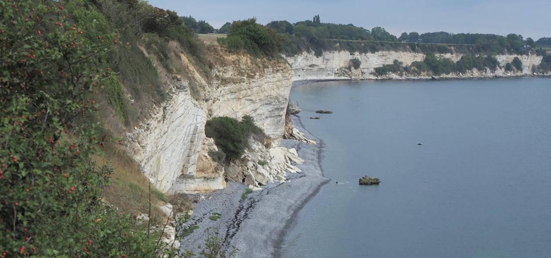 Rødvig Borgerforening 5